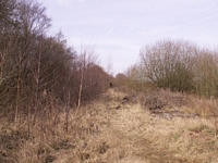 Trackbed at Frankley Green approcahing Hunnington station