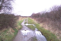 Rushall station beyond bridge towards Lichfield