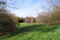 Windmill End halt site Bumble Hole pathway