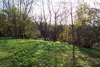 Windmill End halt site